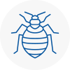 Bed Bug Extermination In Attleborough