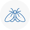 Moth Control Specialists In Attleborough